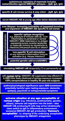 Autoantibodies against the N-Methyl-d-Aspartate Receptor Subunit NR1: Untangling Apparent Inconsistencies for Clinical Practice